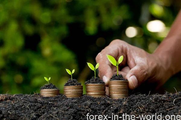 Medium-Term Goals: Growing Your Wealth